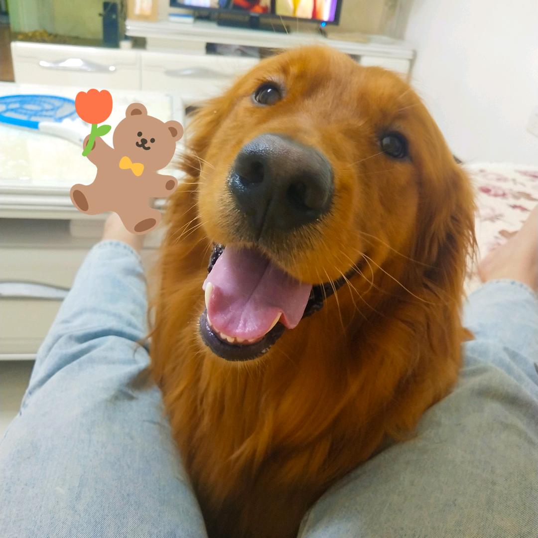 皮蛋solo粥