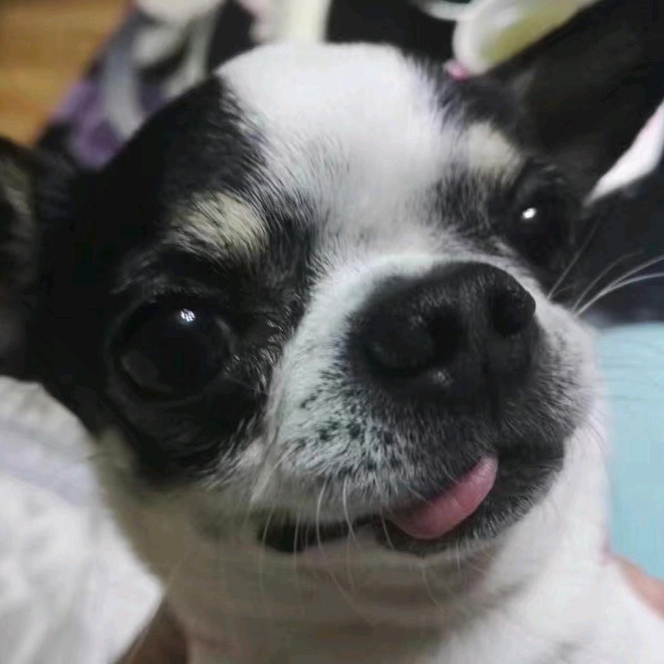 相忘于江湖