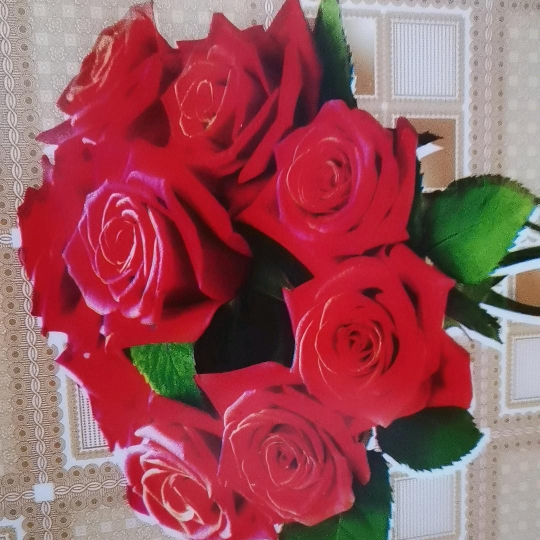 明珠别墅的宋芷莹头像