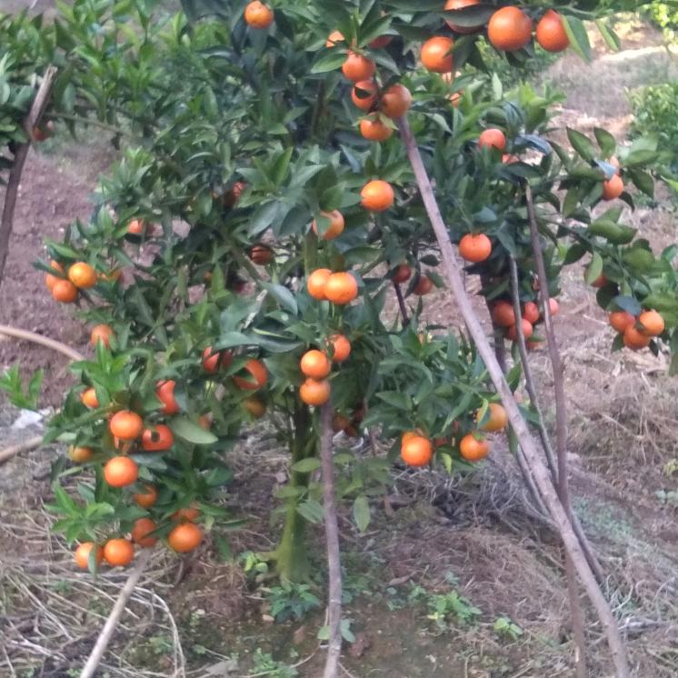 马上就来