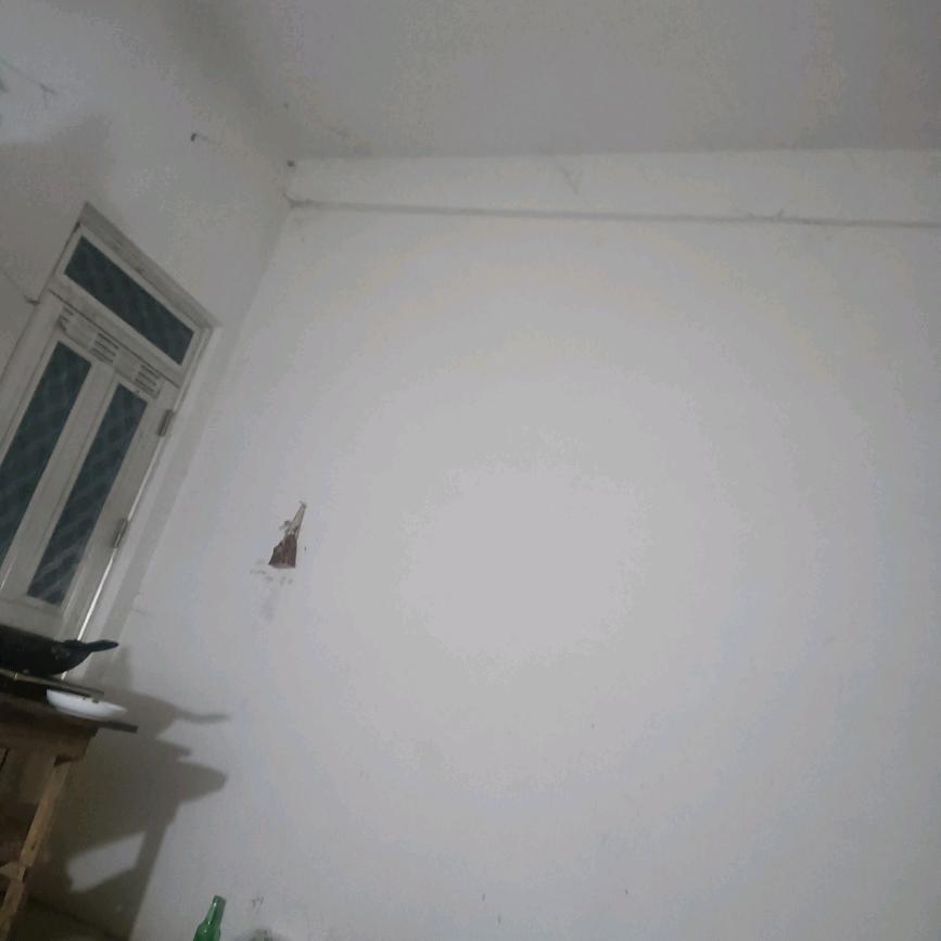 杜治明安微阜阳