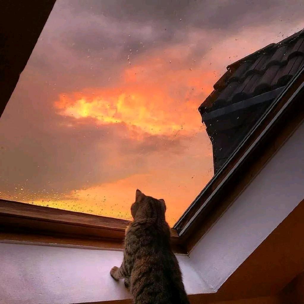 黎橙℡