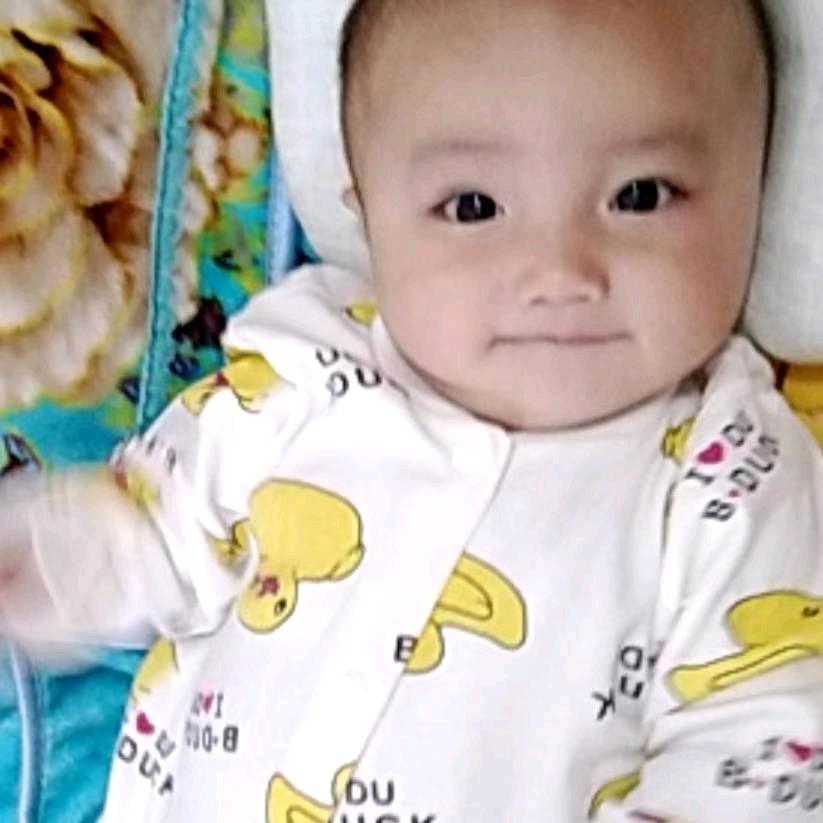小小宝