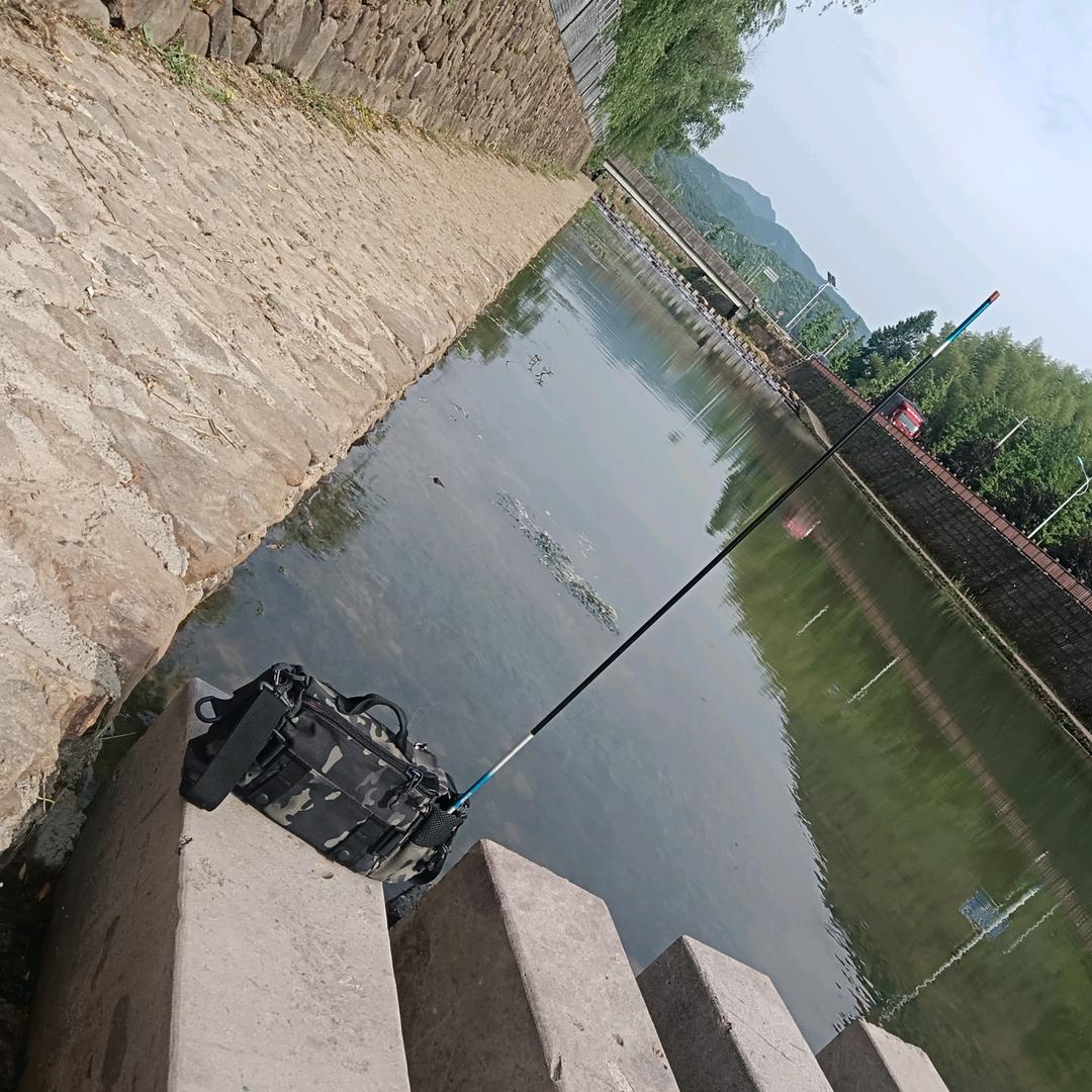 周游记🎣