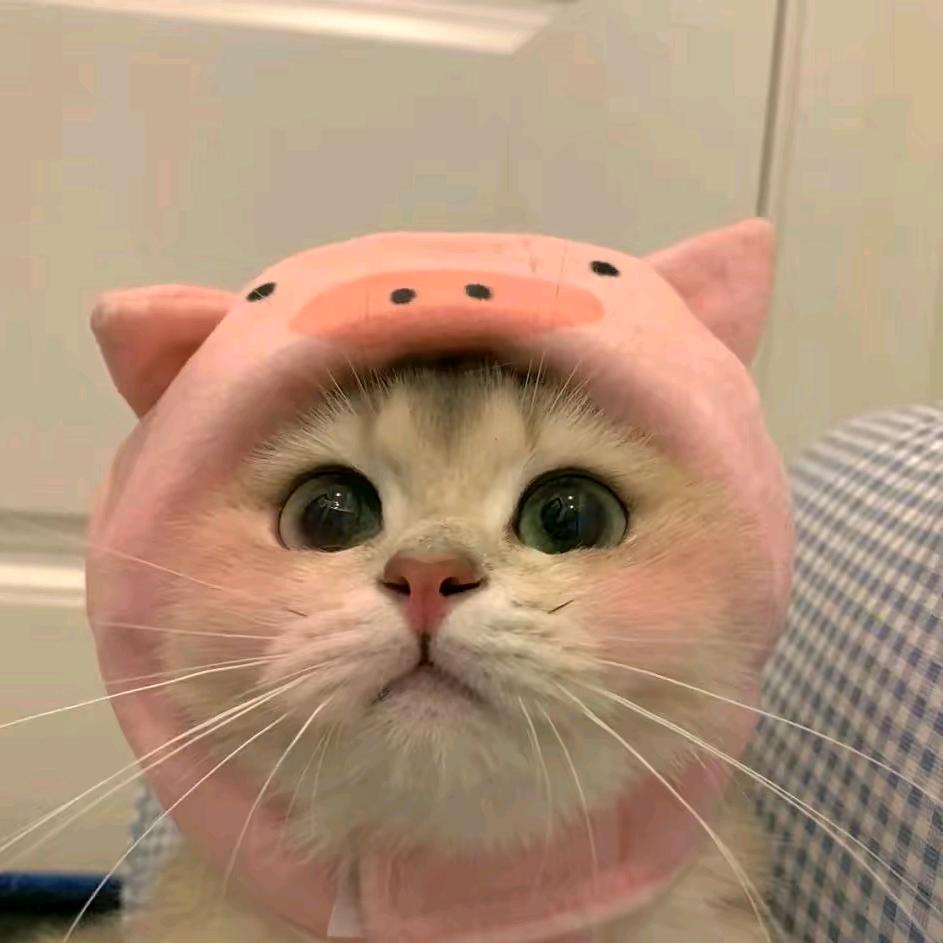 嘉柏丽尔