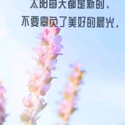 知足常乐🔥