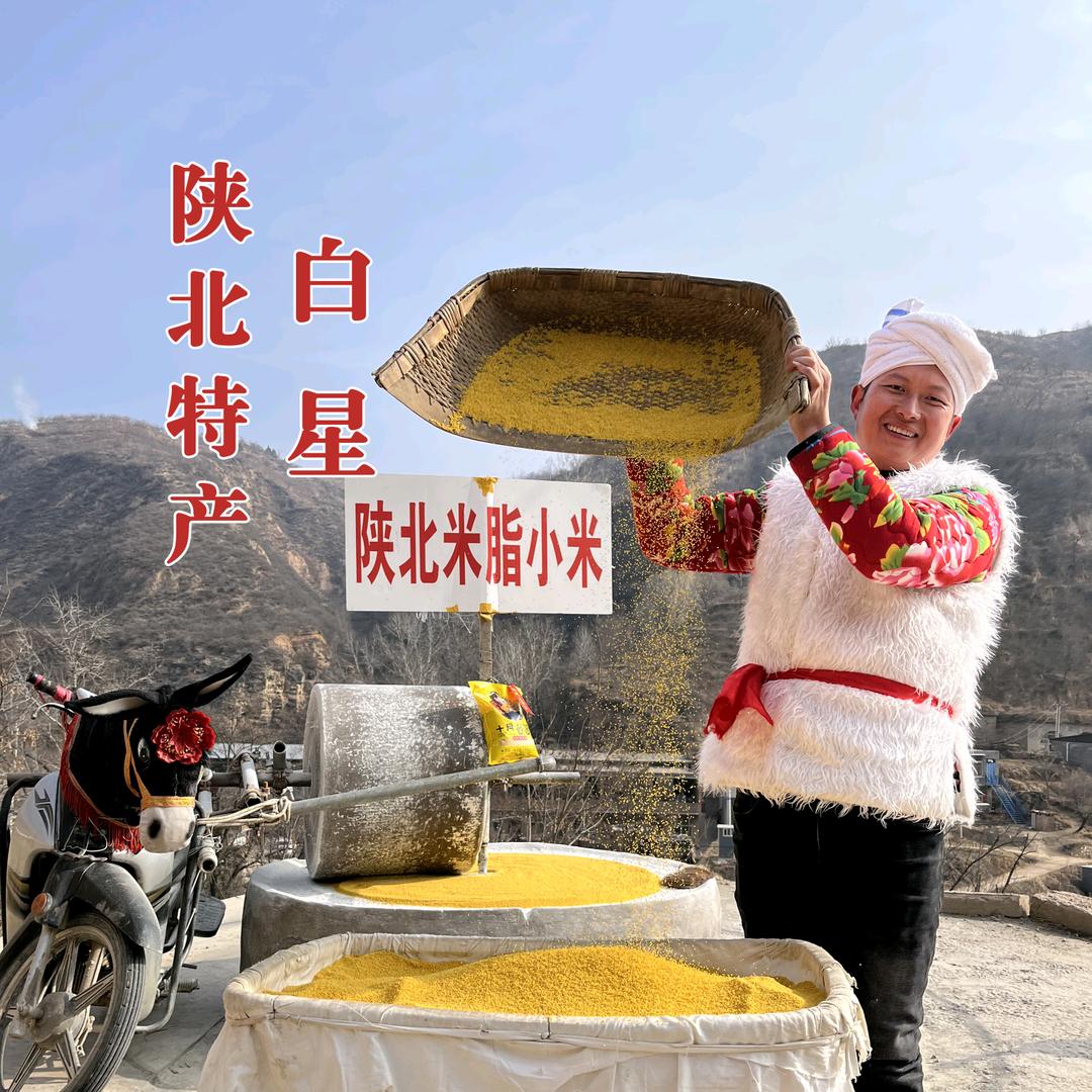 陕北特产白星