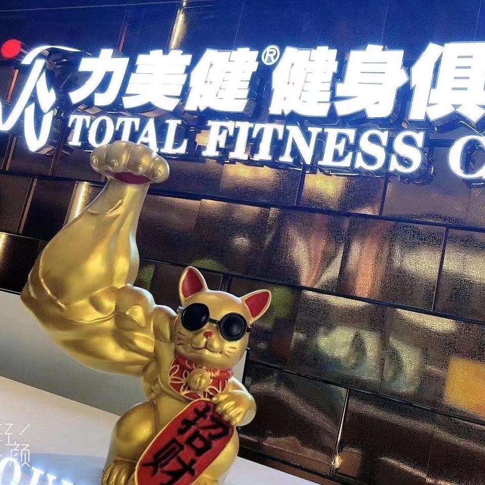 拓美体育  力美健