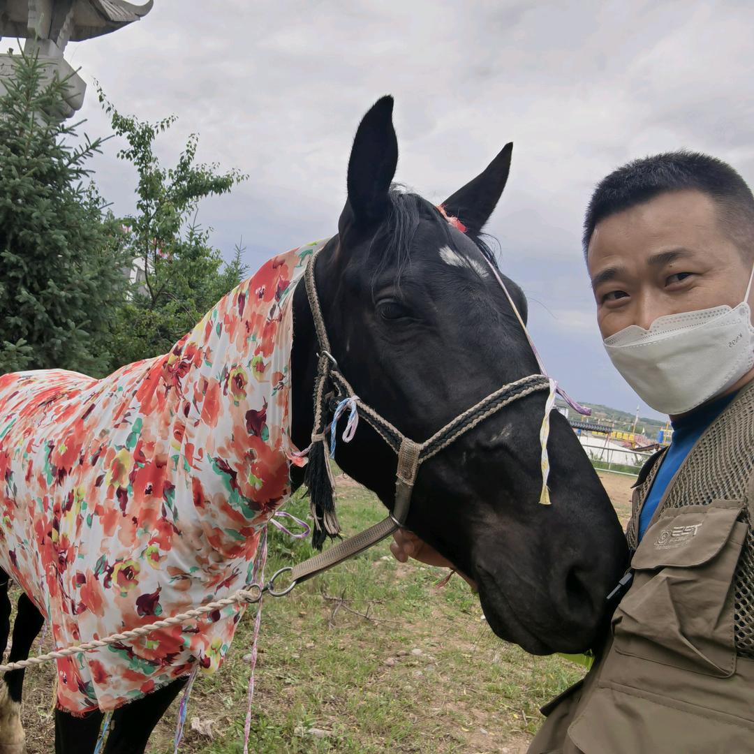 行者大力（山丹军马场骑马回南京）
