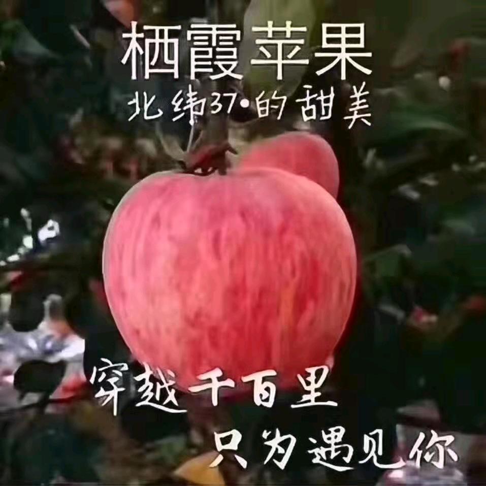 桐桦果蔬