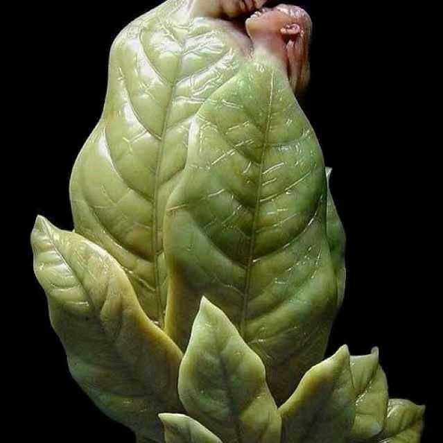 感悟心灵，