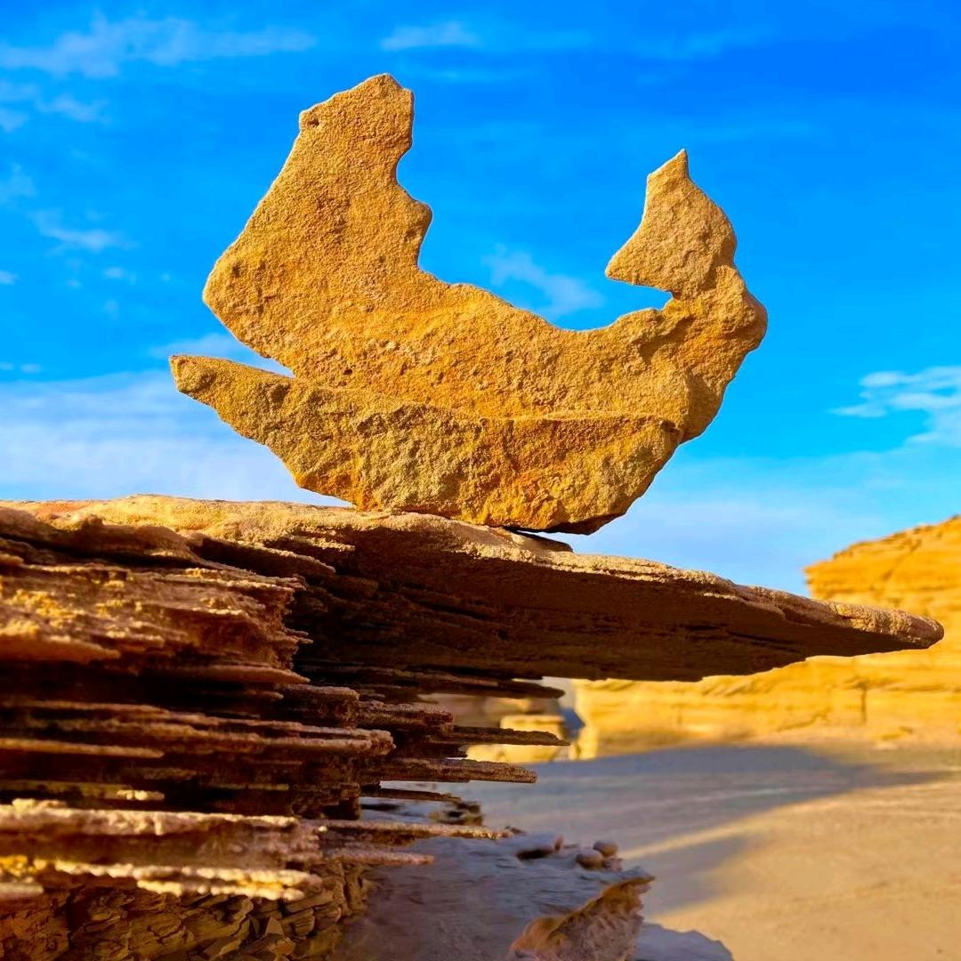 新疆汇鼎人防汪海青