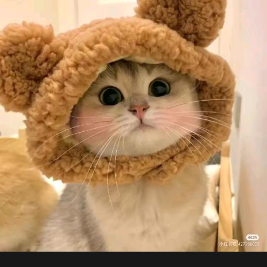 香烟不解人生苦