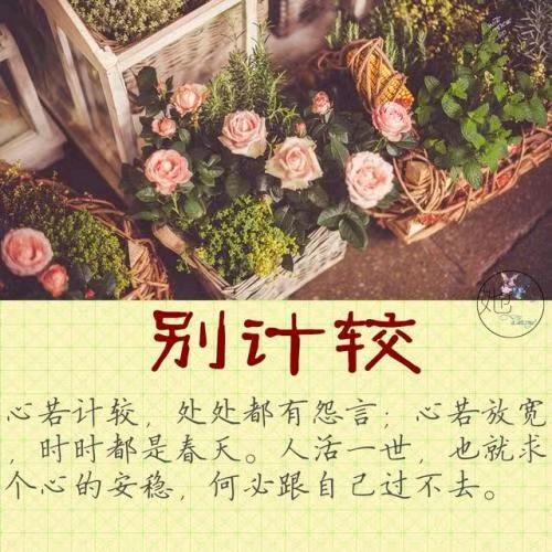 丕极泰来