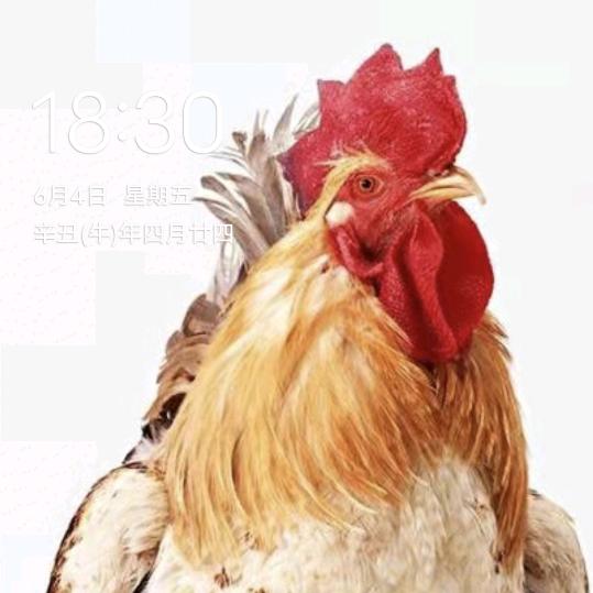 锋记工程_