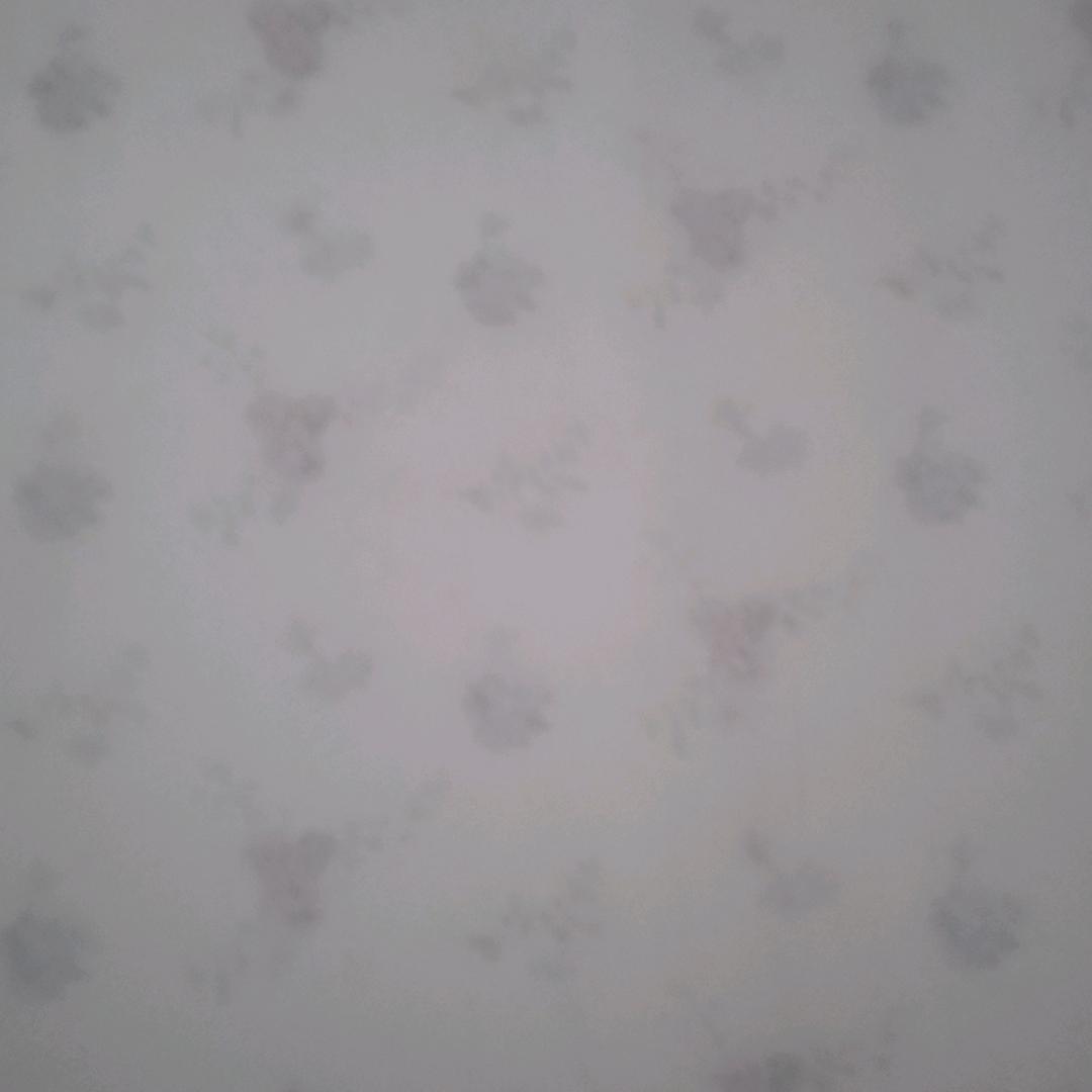 护花使者