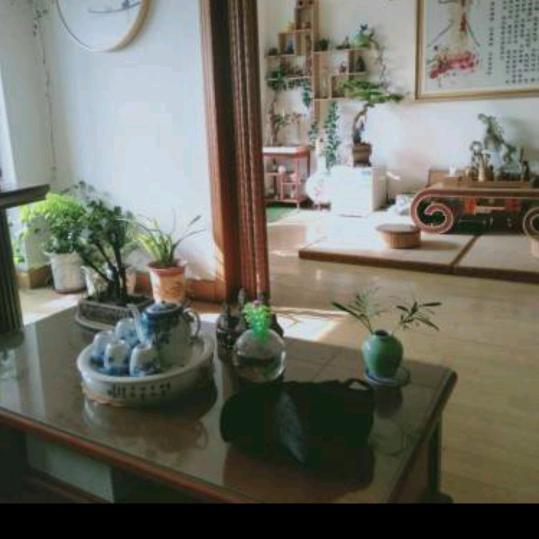 真心难找