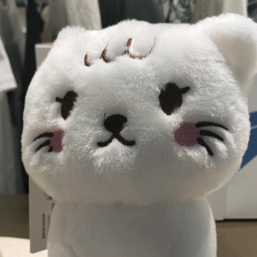 🍀笨蛋🍀