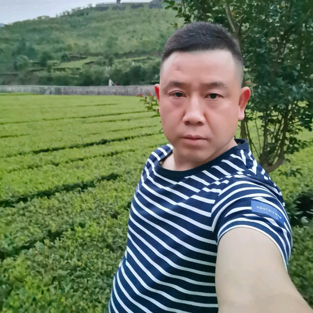 现代茶叶机械设备