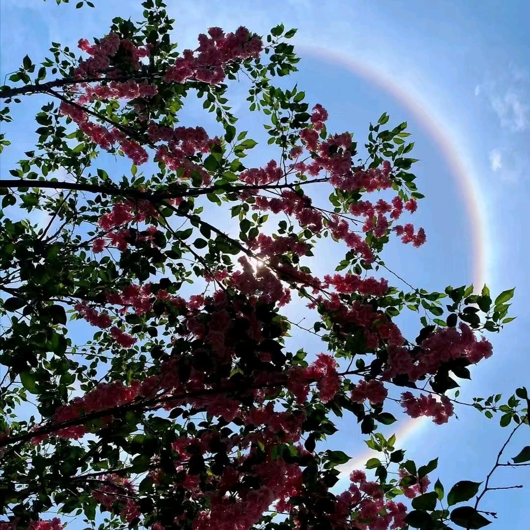 微笑面对每一天🍀