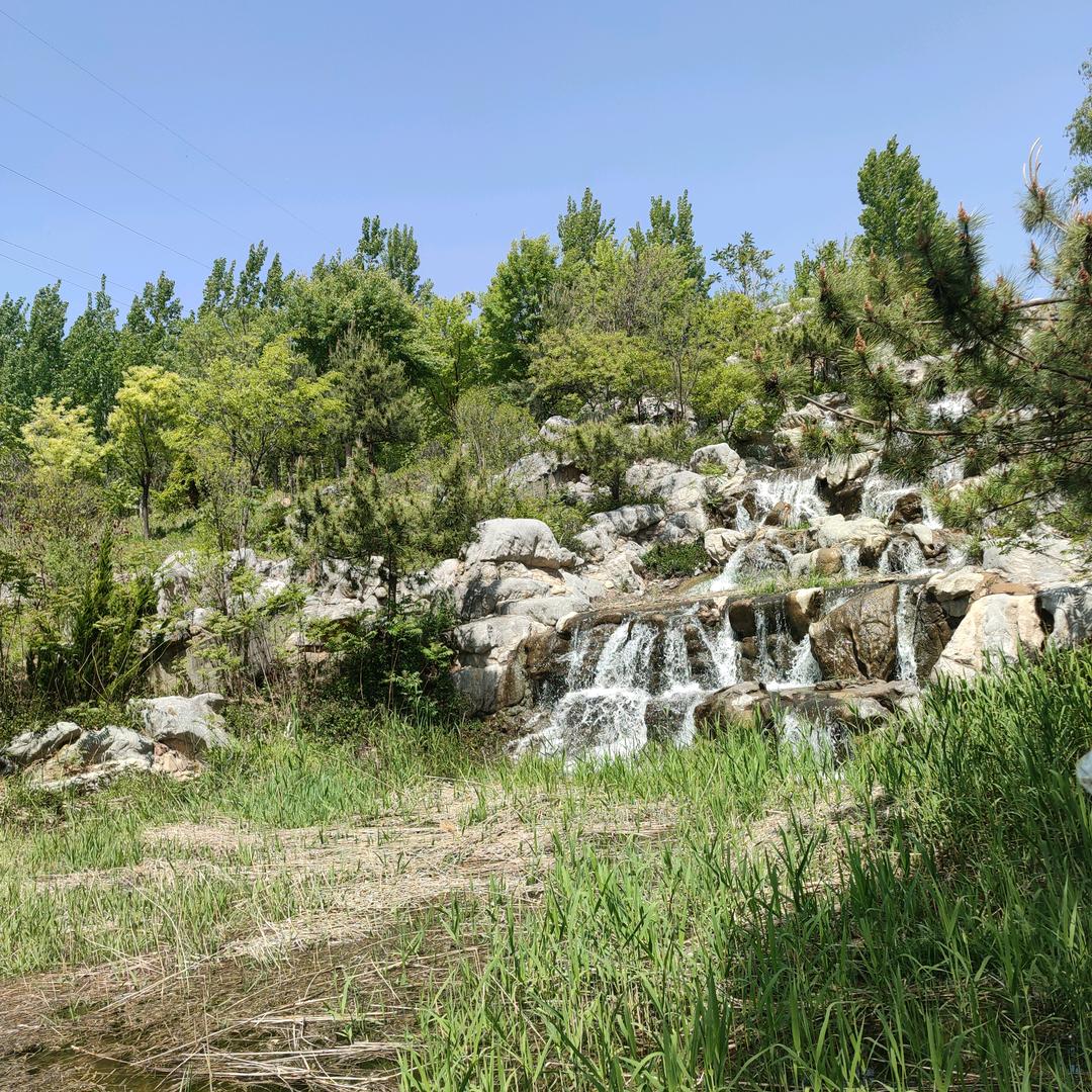 简简单单🌻🌻