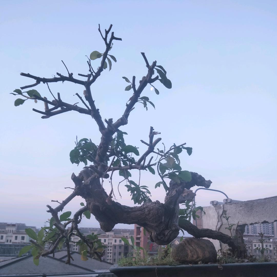 不忘牵挂