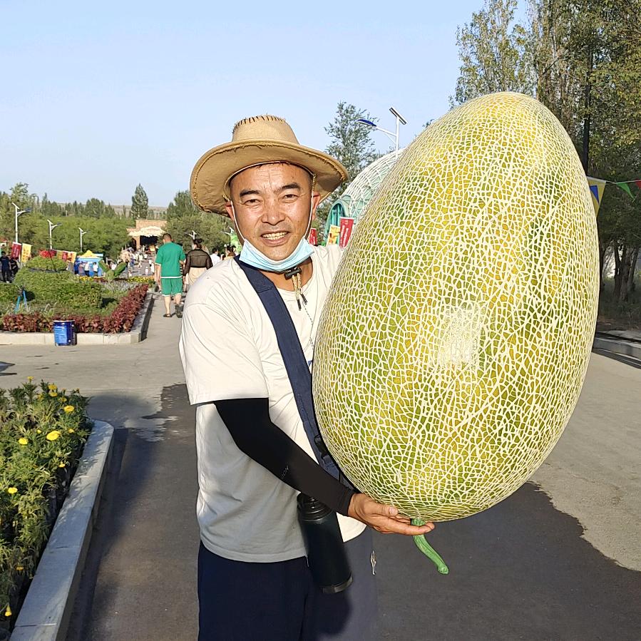 虎虎乐
