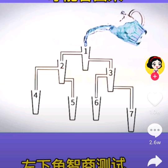 叶子的叶