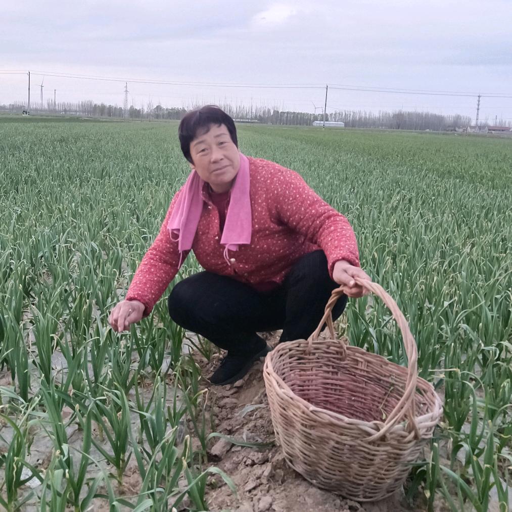农村嫂子