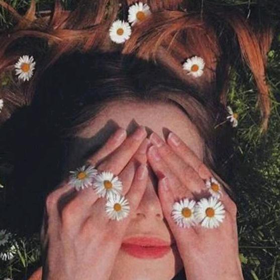 紫菱