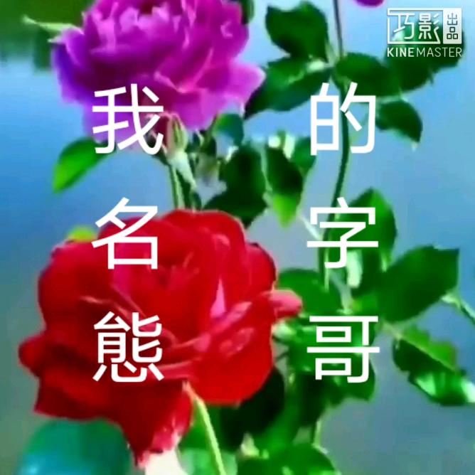 態哥