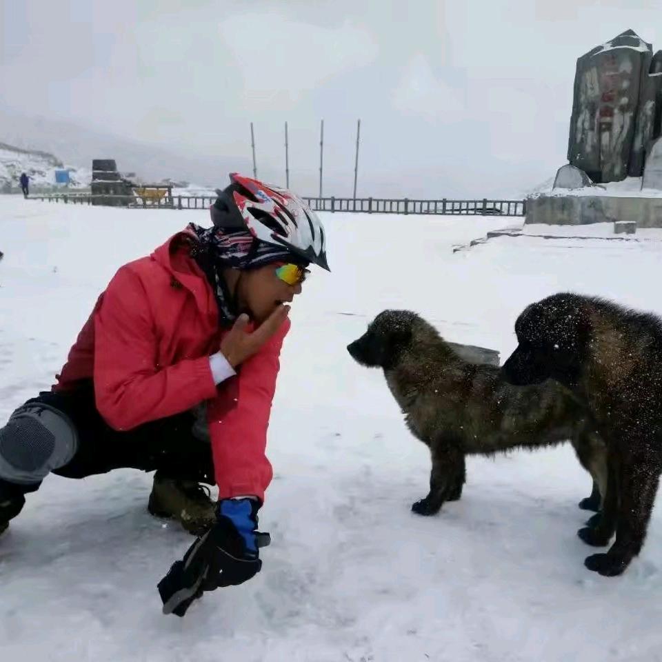 狮子挽歌