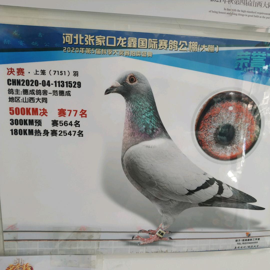 邢建军