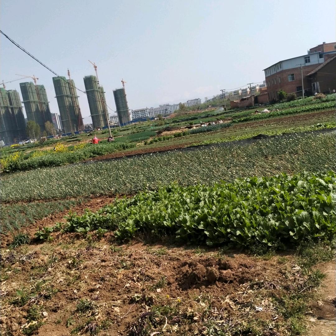 记忆，立志不交无情友，回头长思有情人