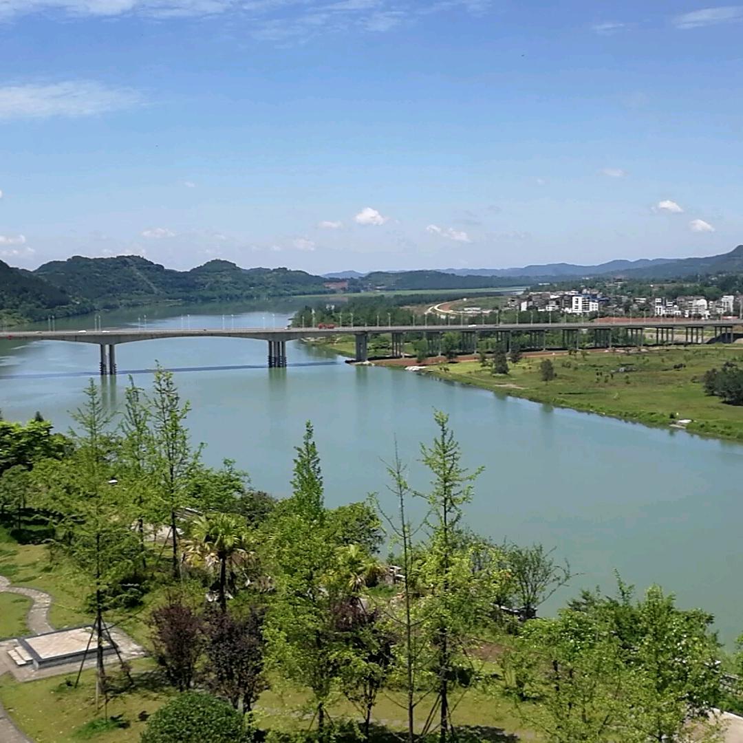 龙哥