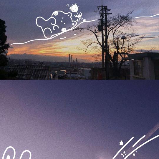 @杨🍀