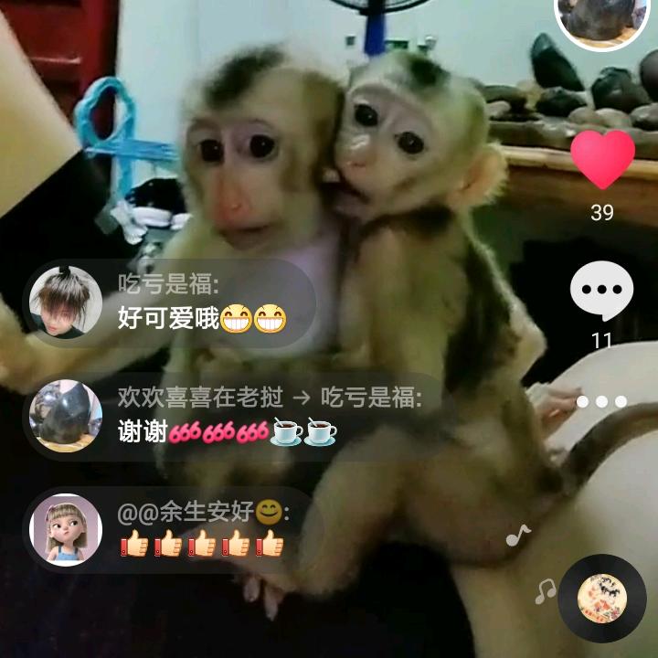 欢欢喜喜在老挝