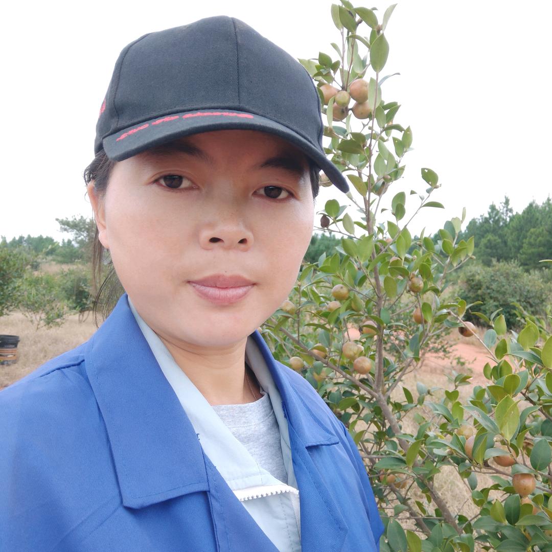 袁丽琴
