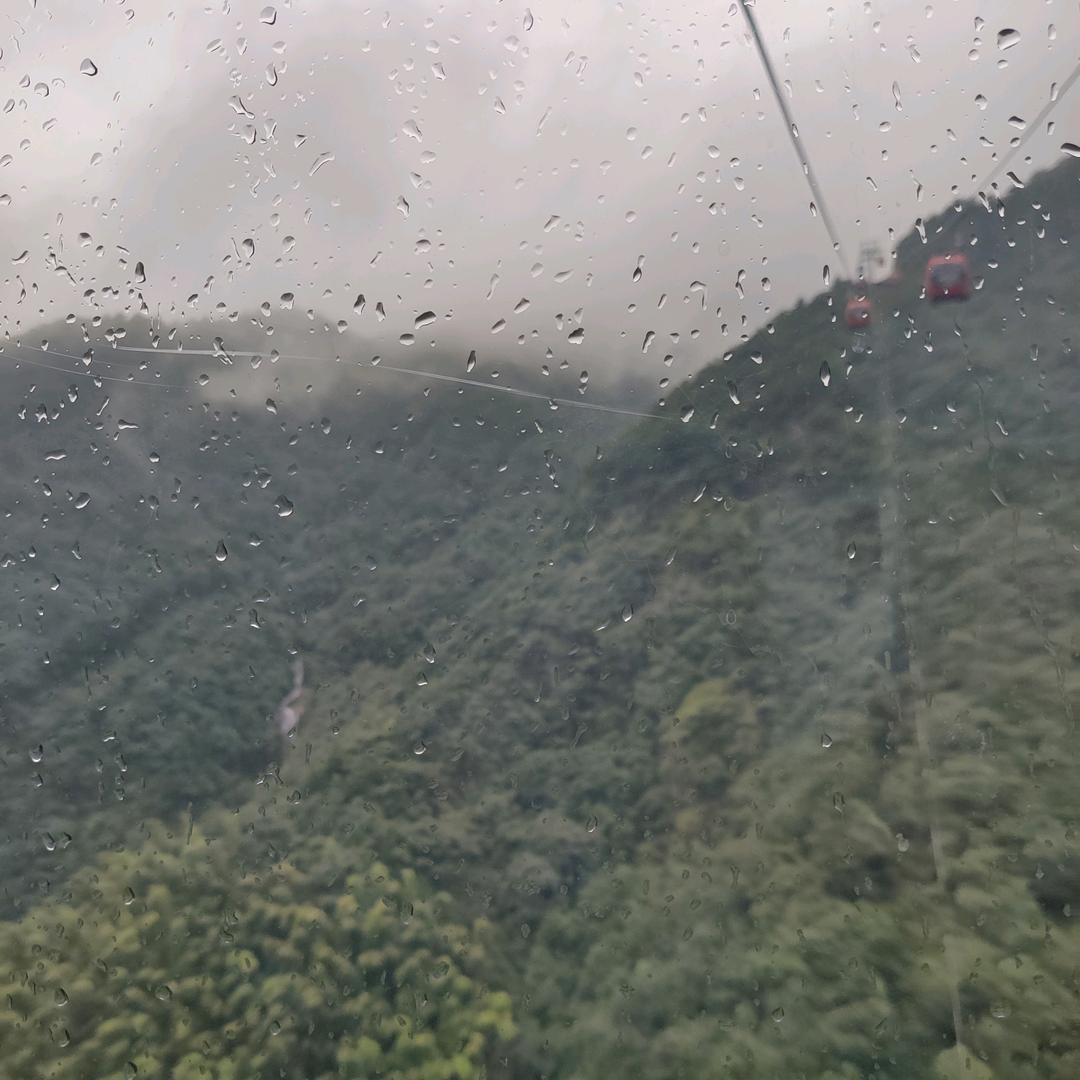 宁波雷雷