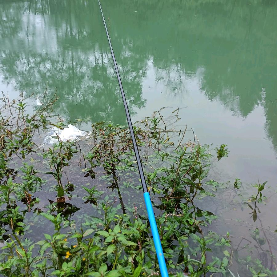 一半清醒♡一半醉