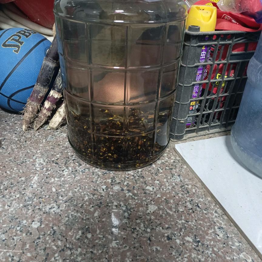 问天问地问自己