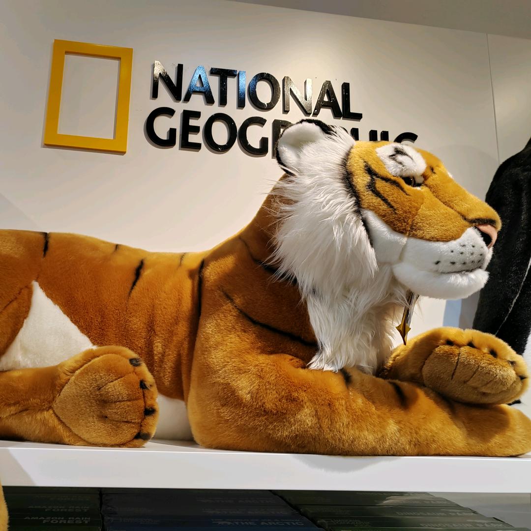 呼呼(￣o￣) . z Z