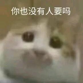 就很呀哈