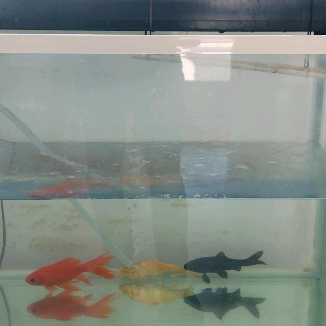 阳光