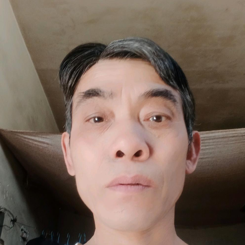 蓝天树
