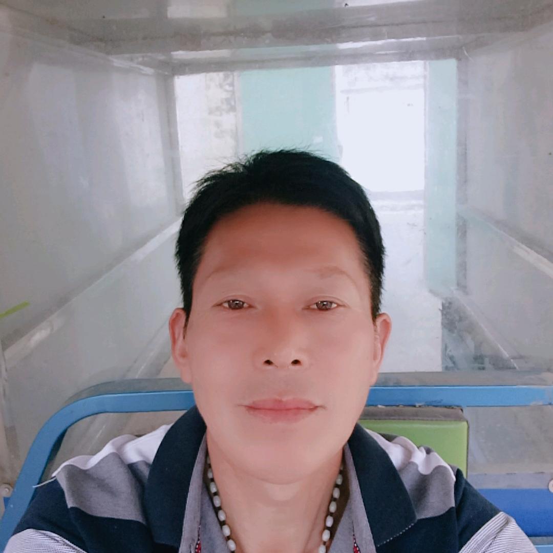 舞彩人生
