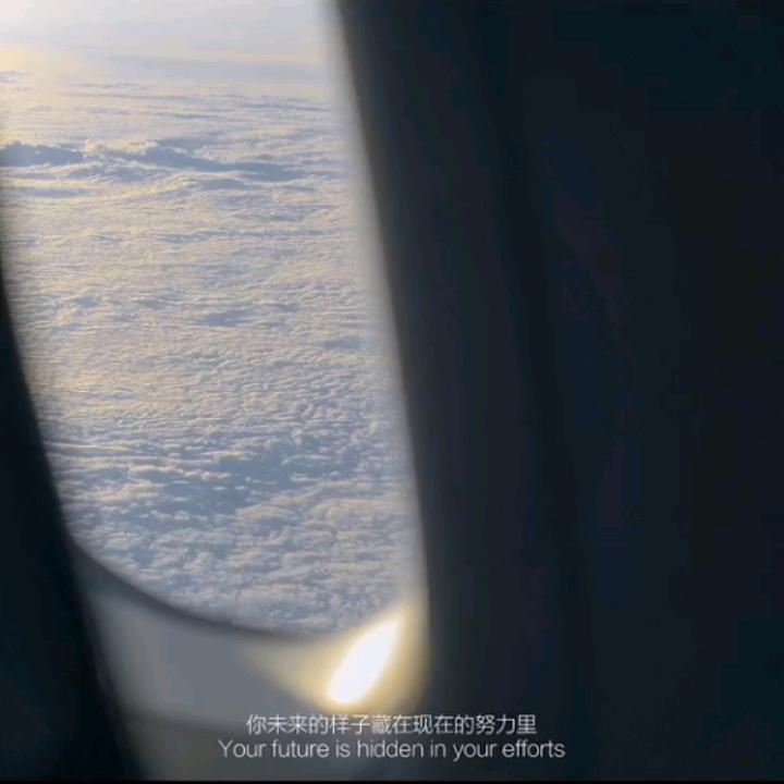 爱吃橘子～