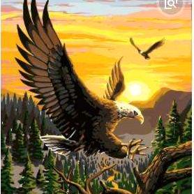 🐲鲲鹏🐲🔥🔥