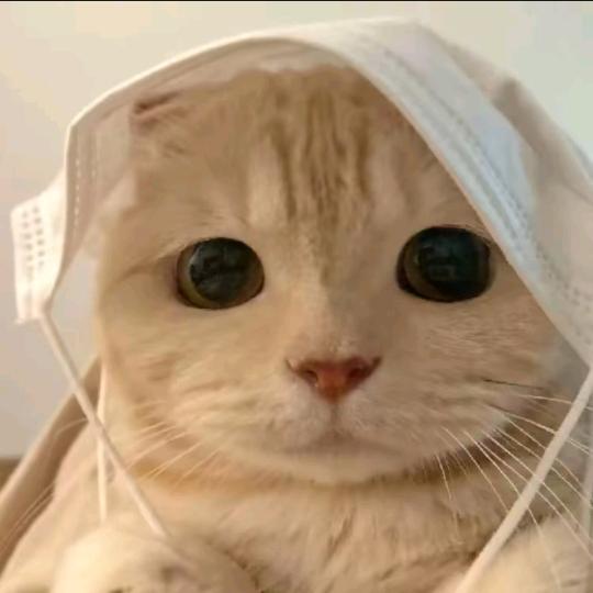 奇葩战斗家化腾