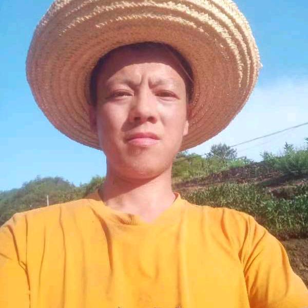 黄山小杨哥